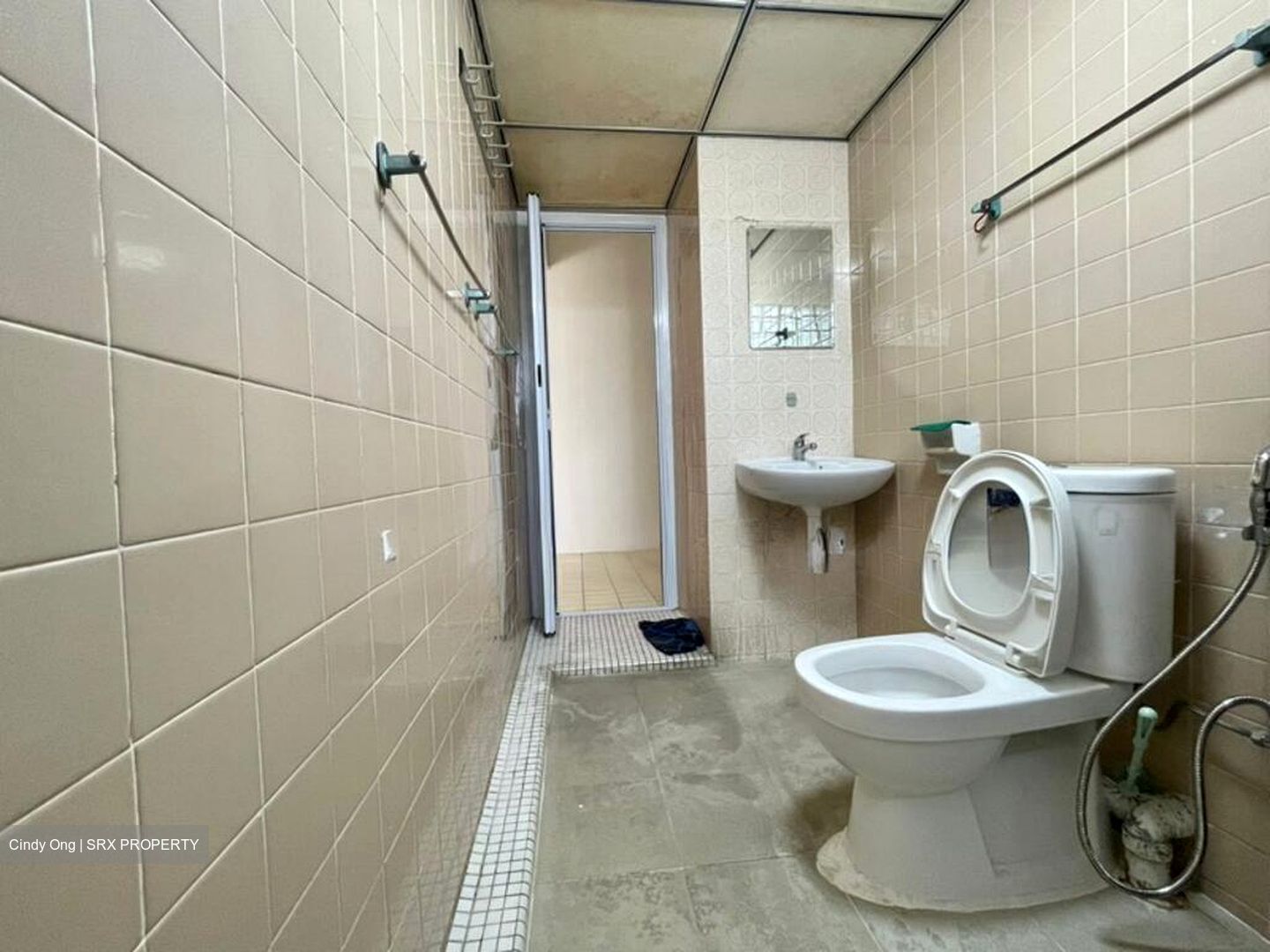 Laguna Park (D15), Apartment #521909121